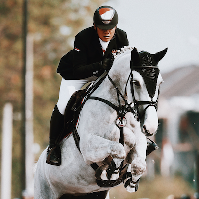 APM Equestrian Center Riding School Horse Stable Breeding